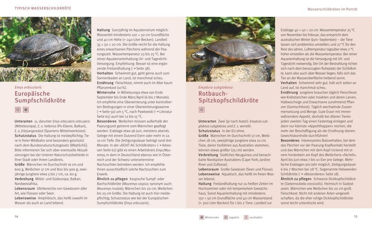 Produktbild: Wasserschildkr&ouml;ten