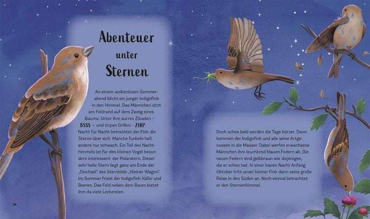 Produktbild: Tiergeschichten zum Tr&auml;umen. Zauber der Nacht