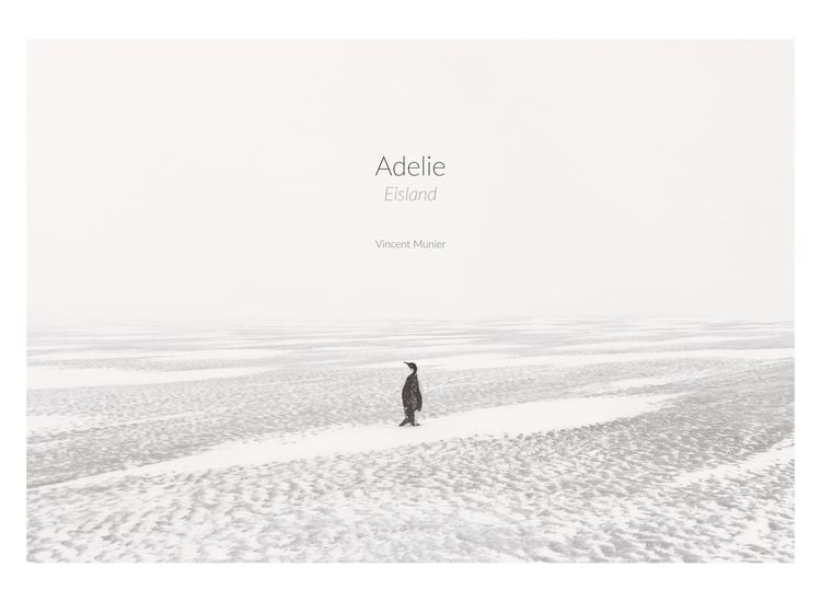 Produktbild: Adelie: Eismeer &ndash; Eisland
