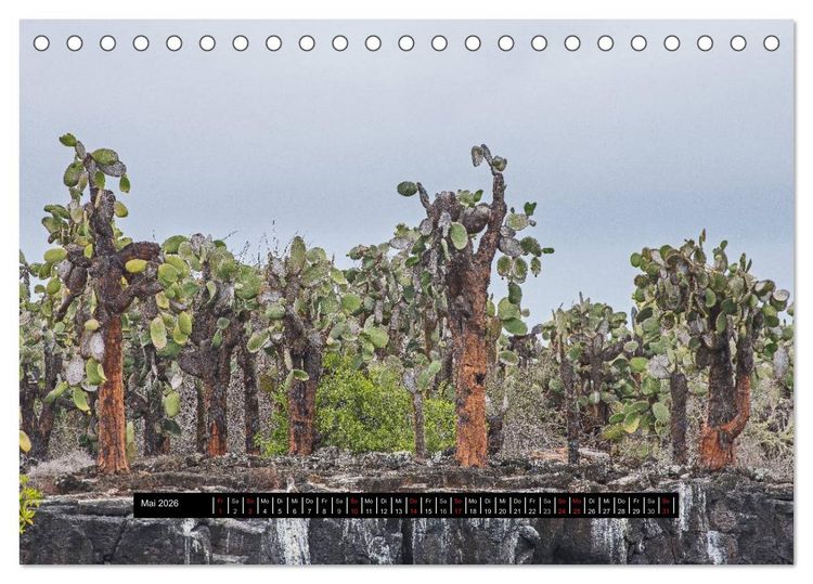 Produktbild: Galapagos- Landschaften (Tischkalender 2026 DIN A5 quer), CALVENDO Monatskalender
