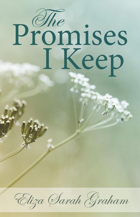 Produktbild: The Promises I Keep