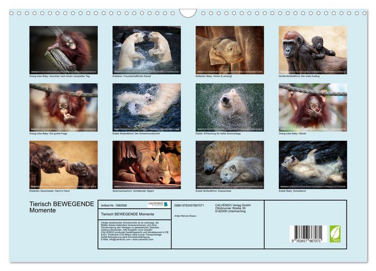 Produktbild: Tierisch BEWEGENDE Momente (Wandkalender 2026 DIN A3 quer), CALVENDO Monatskalender