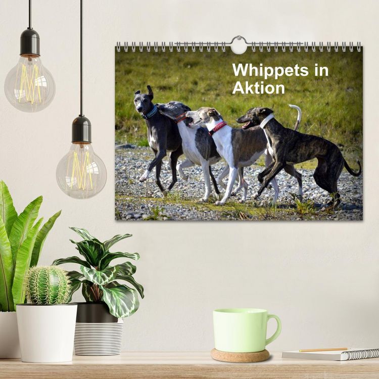 Produktbild: Whippets in Aktion (Wandkalender 2026 DIN A4 quer), CALVENDO Monatskalender