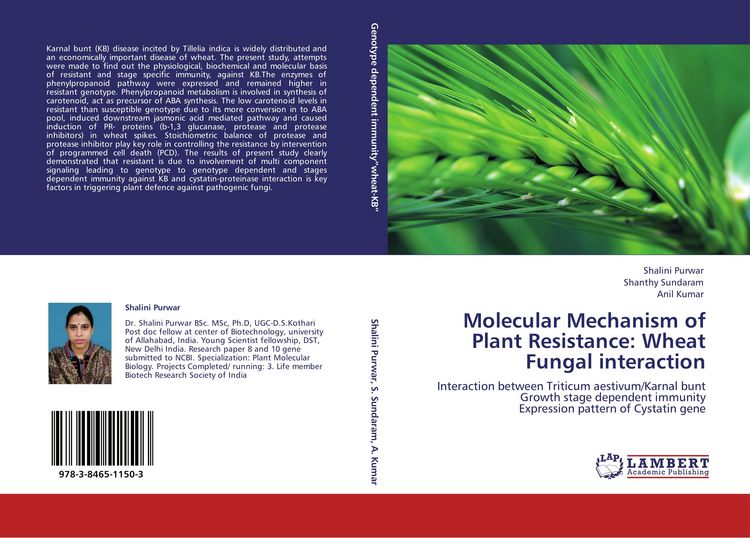 Produktbild: Molecular Mechanism of Plant Resistance: Wheat Fungal interaction