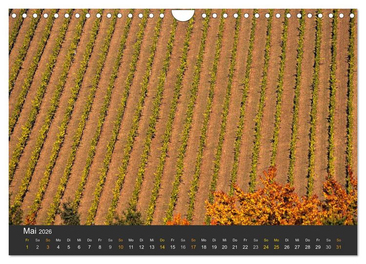 Produktbild: Die S&uuml;dsteirischen Weinstrasse (Wandkalender 2026 DIN A4 quer), CALVENDO Monatskalender
