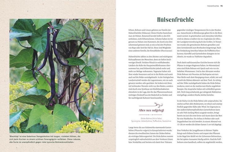Produktbild: Alte Gem&uuml;sepflanzen wiederentdeckt