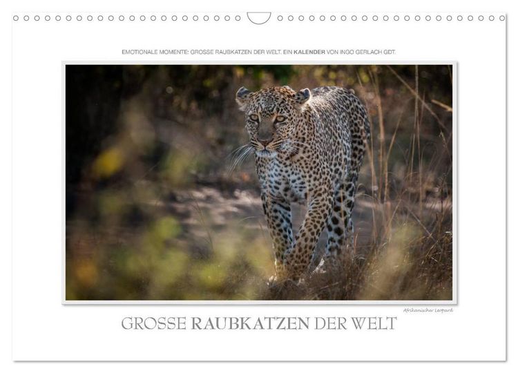 Produktbild: Emotionale Momente: Gro&szlig;e Raubkatzen der Welt. (Wandkalender 2026 DIN A3 quer), CALVENDO Monatskalender