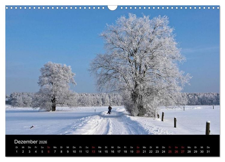Produktbild: Baum-Variationen (Wandkalender 2026 DIN A3 quer), CALVENDO Monatskalender