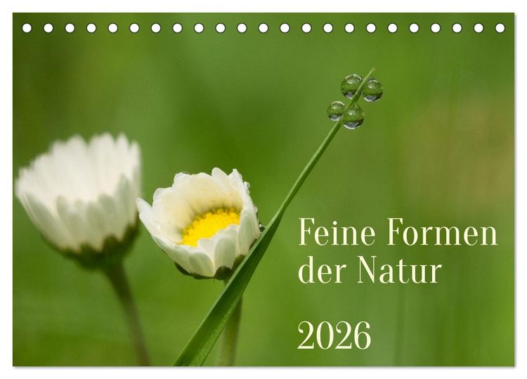 Produktbild: Feine Formen der Natur (Tischkalender 2026 DIN A5 quer), CALVENDO Monatskalender