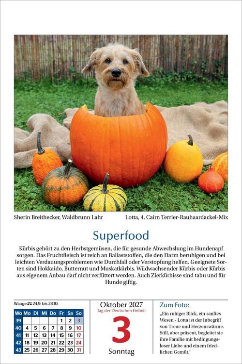 Produktbild: Hunde Tageskalender 2027