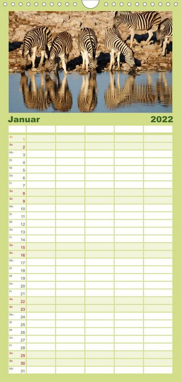 Produktbild: Familienplaner Zebras - Faszination der Wildnis (Wandkalender 2022 , 21 cm x 45 cm, hoch)