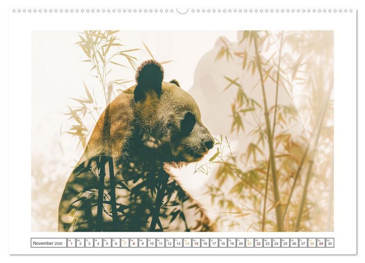 Produktbild: Traumhafte Silhouetten (hochwertiger Premium Wandkalender 2026 DIN A2 quer), Kunstdruck in Hochglanz