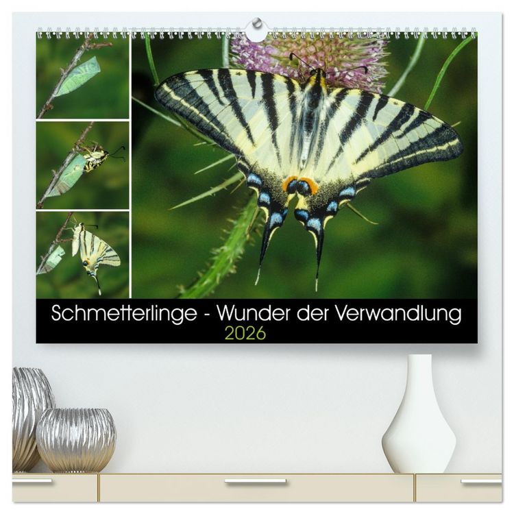 Produktbild: Schmetterlinge - Wunder der Verwandlung (hochwertiger Premium Wandkalender 2026 DIN A2 quer), Kunstdruck in Hochglanz