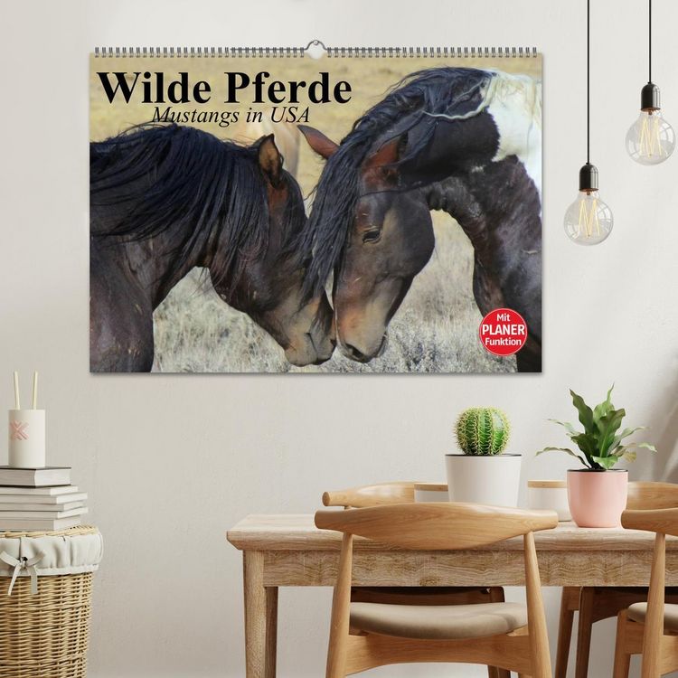 Produktbild: Wilde Pferde. Mustangs in USA (Wandkalender 2026 DIN A2 quer), CALVENDO Monatskalender