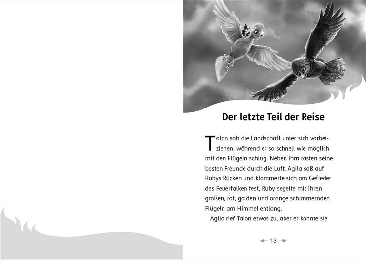 Produktbild: Der letzte Feuerfalke und das Schattenland (Band 5)