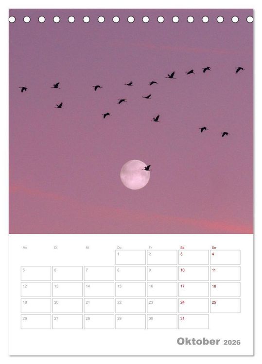 Produktbild: VOLLMOND-Planer - Im Licht der Nacht (Tischkalender 2026 DIN A5 hoch), CALVENDO Monatskalender
