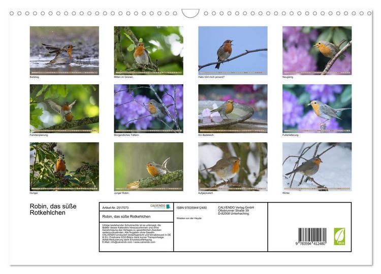 Produktbild: Robin, das s&uuml;&szlig;e Rotkehlchen (Wandkalender 2027 DIN A3 quer), CALVENDO Monatskalender
