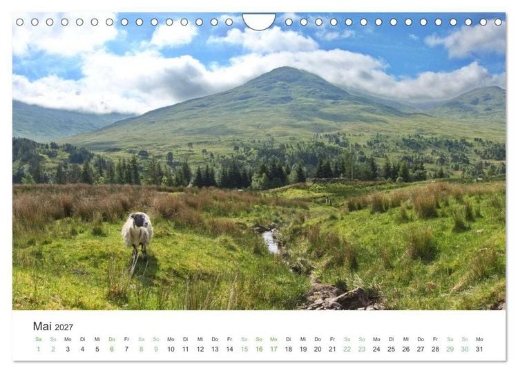 Produktbild: West Highland Love Kalender (Wandkalender 2027 DIN A4 quer), CALVENDO Monatskalender