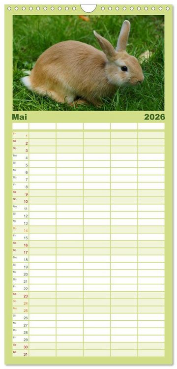 Produktbild: Familienplaner 2026 - Liebenswerte Zwergkaninchen mit 5 Spalten (Wandkalender, 21 x 45 cm) CALVENDO