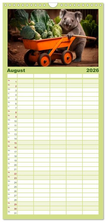 Produktbild: Familienplaner 2026 - Die Koalas sind los! Ein Jahr voller B&auml;renspa&szlig; mit 5 Spalten (Wandkalender, 21 x 45 cm) CALVENDO