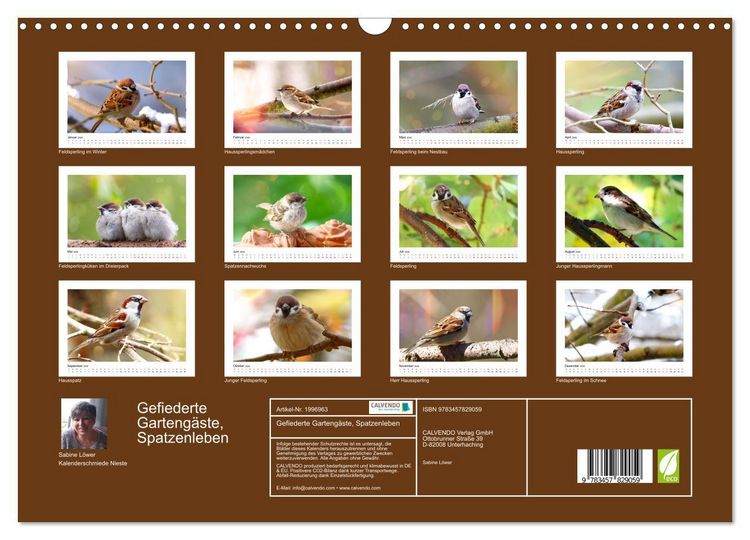 Produktbild: Gefiederte Garteng&auml;ste, Spatzenleben (Wandkalender 2026 DIN A3 quer), CALVENDO Monatskalender