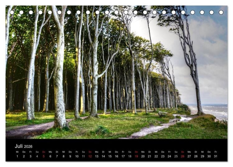 Produktbild: Baum-Variationen (Tischkalender 2026 DIN A5 quer), CALVENDO Monatskalender