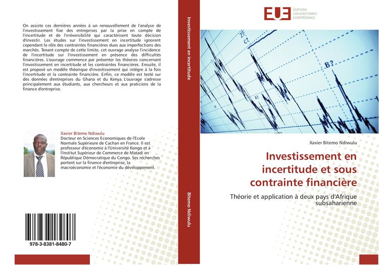 Produktbild: Investissement en incertitude et sous contrainte financi&egrave;re