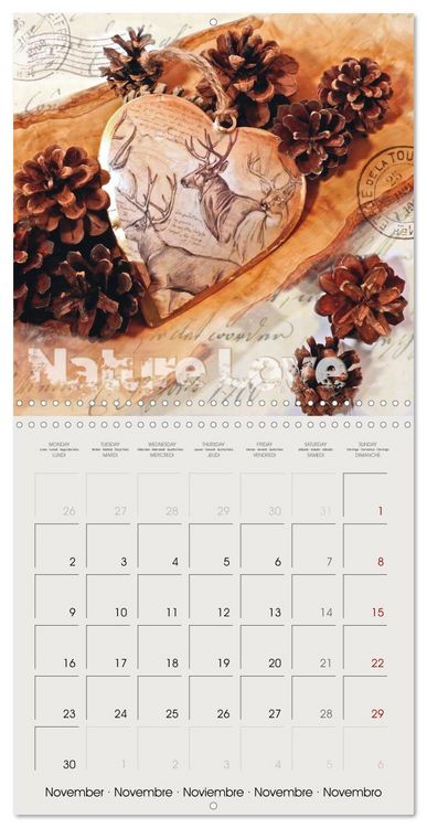 Produktbild: Special hearts in wonderful still lifes (Wall Calendar 2026 12 &times; 12 Inch) CALVENDO 12 Month Wall Calendar