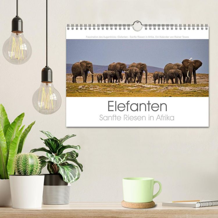 Produktbild: Elefanten - Sanfte Riesen in Afrika (Wandkalender 2026 DIN A4 quer), CALVENDO Monatskalender