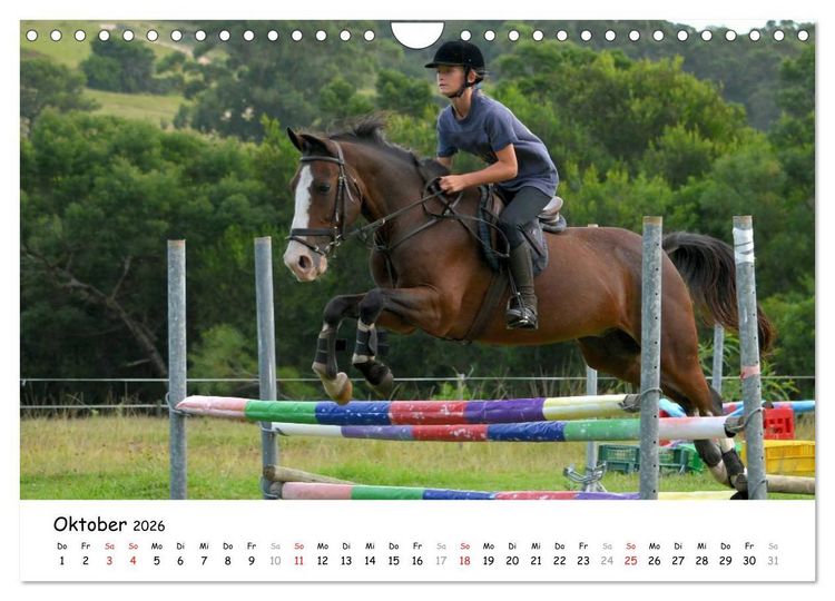 Produktbild: Pony Springreiten (Wandkalender 2026 DIN A4 quer), CALVENDO Monatskalender