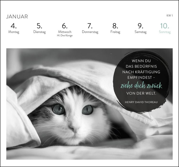 Produktbild: Postkartenkalender 2027: Inspirierende Worte f&uuml;r Katzenfreunde