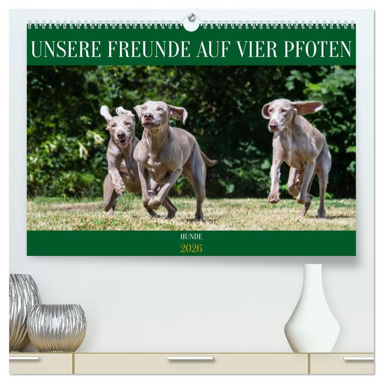 Produktbild: Unsere Freunde auf vier Pfoten - Hunde (hochwertiger Premium Wandkalender 2026 DIN A2 quer), Kunstdruck in Hochglanz