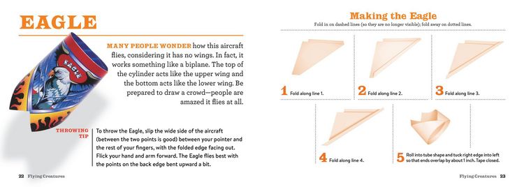 Produktbild: Flying Creatures Paper Airplane Book
