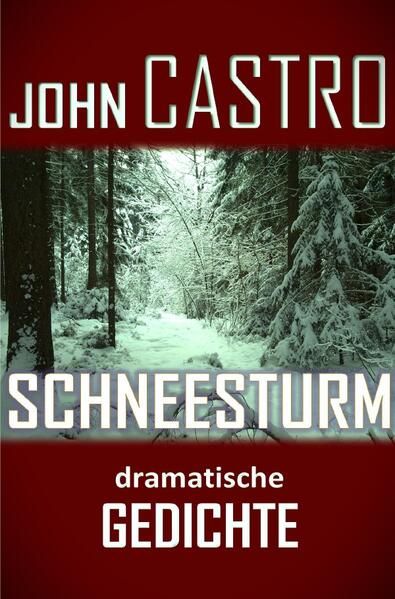 Produktbild: Schneesturm