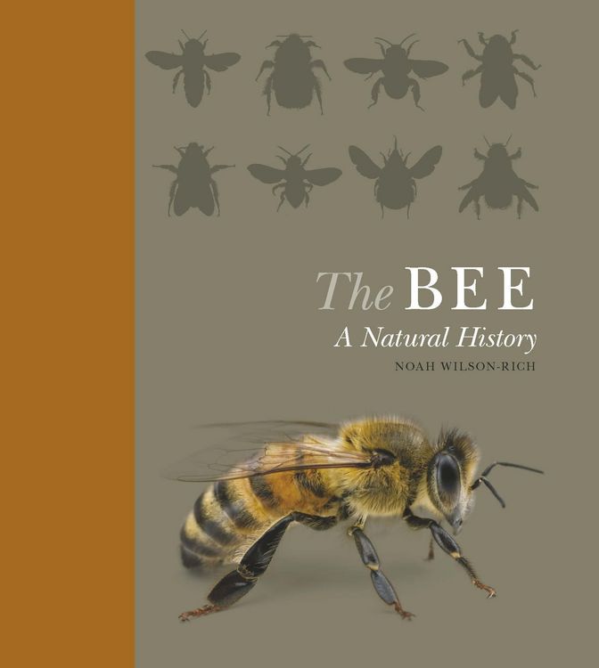 Produktbild: The Bee
