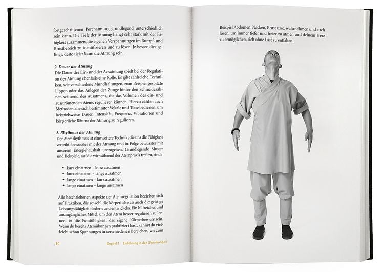 Produktbild: Shaolin Spirit