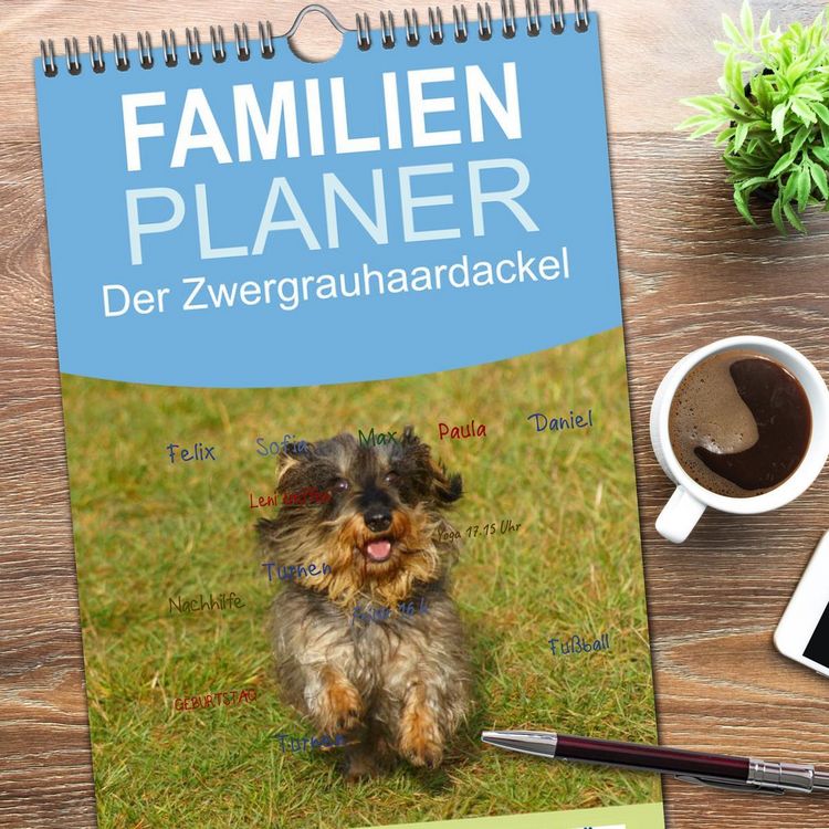Produktbild: Familienplaner 2026 - Der Zwergrauhaardackel - Eigensinnig und Liebenswert mit 5 Spalten (Wandkalender, 21 x 45 cm) CALVENDO