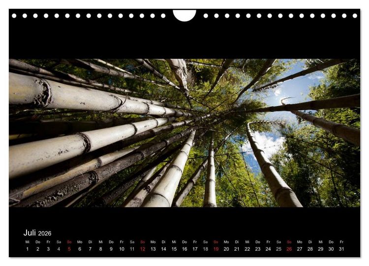Produktbild: Patagonien - Ungez&auml;hmtes Land (Wandkalender 2026 DIN A4 quer), CALVENDO Monatskalender