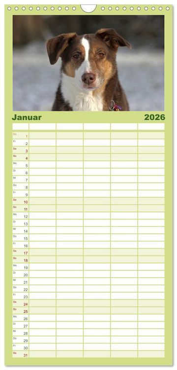 Produktbild: Familienplaner 2026 - Faszination Hund mit 5 Spalten (Wandkalender, 21 x 45 cm) CALVENDO