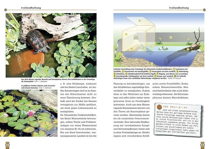 Produktbild: Die Chinesische Dreikielschildkr&ouml;te