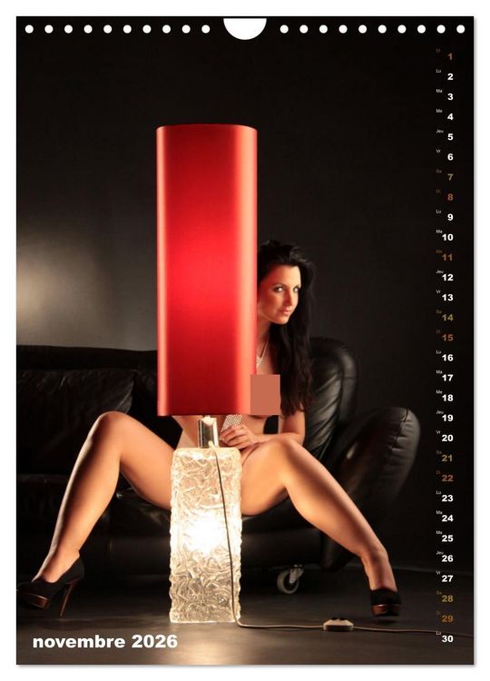 Produktbild: Le canap&eacute; (Calendrier mural 2026 DIN A4 horizontal), CALVENDO calendrier mensuel