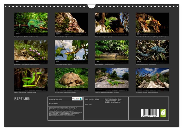Produktbild: REPTILIEN (Wandkalender 2026 DIN A3 quer), CALVENDO Monatskalender
