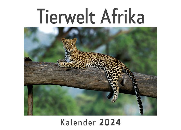 Produktbild: Tierwelt Afrika (Wandkalender 2024, Kalender DIN A4 quer, Monatskalender im Querformat mit Kalendarium, Das perfekte Geschenk)