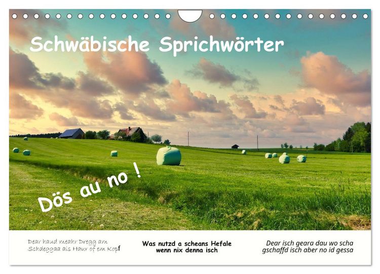 Produktbild: 03 Schw&auml;bische Sprichw&ouml;rter - D&ouml;s au no! (Wandkalender 2026 DIN A4 quer), CALVENDO Monatskalender