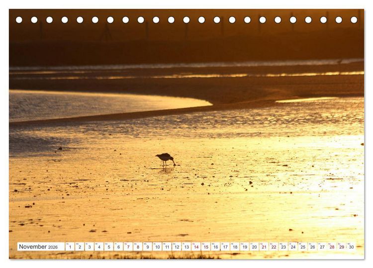 Produktbild: Seel&auml;ndisches Flandern (Tischkalender 2026 DIN A5 quer), CALVENDO Monatskalender