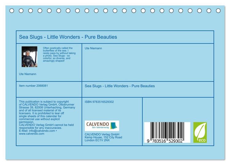 Produktbild: Sea Slugs - Little Wonders - Pure Beauties (Desk Calendar 2026 DIN A5 landscape), CALVENDO 12 Month DeskCalendar