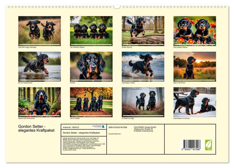 Produktbild: Gordon Setter - elegantes Kraftpaket (hochwertiger Premium Wandkalender 2026 DIN A2 quer), Kunstdruck in Hochglanz