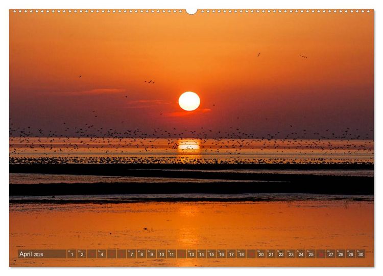 Produktbild: Farbspiele im Licht der Sonne (hochwertiger Premium Wandkalender 2026 DIN A2 quer), Kunstdruck in Hochglanz