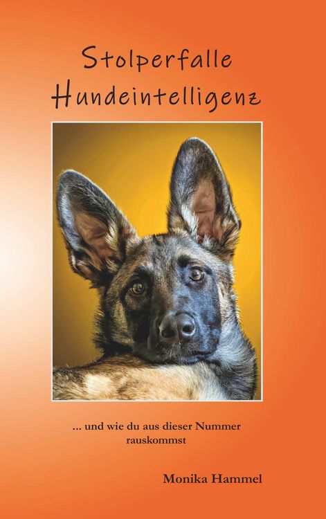 Produktbild: Stolperfalle Hundeintelligenz