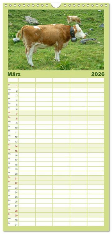 Produktbild: Familienplaner 2026 - Die Welt der K&uuml;he mit 5 Spalten (Wandkalender, 21 x 45 cm) CALVENDO